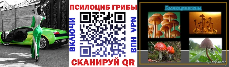 Псилоцибиновые грибы Psilocybine cubensis  Власиха 